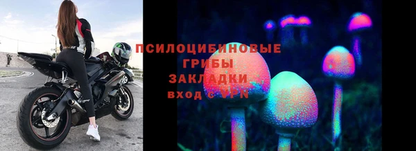 спайс Балабаново