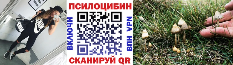 что такое   Верхотурье  Псилоцибиновые грибы ЛСД 